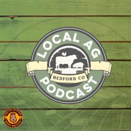 Artwork for Local AG