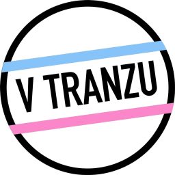 Artwork for V Tranzu