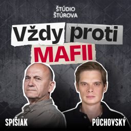 Artwork for Vždy proti mafii