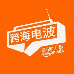 Artwork for 跨海电波