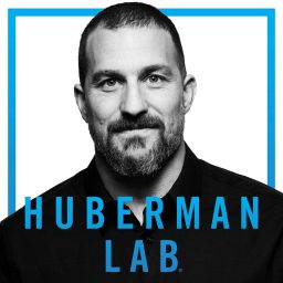Artwork for Huberman Lab