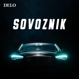 Artwork for Sovoznik
