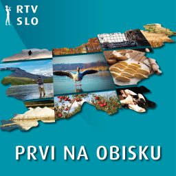 Artwork for Prvi na obisku
