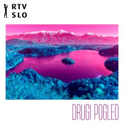 Artwork for Drugi pogled