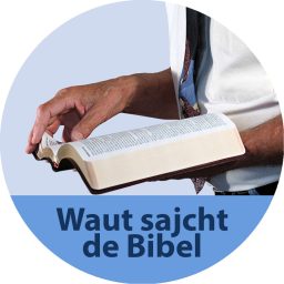 Artwork for Waut sajcht de Bibel