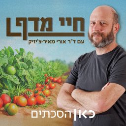 Artwork for חיי מדף Shelf Life