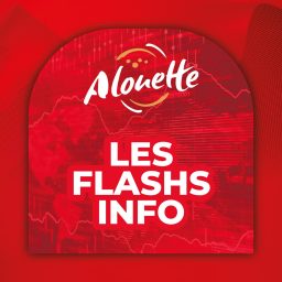 Artwork for Les flashs Info