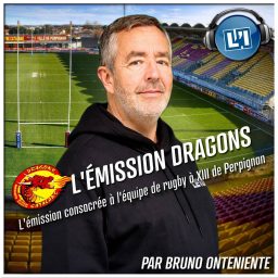 Artwork for L'ÉMISSION DRAGONS