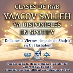 Artwork for Shiurim de Torá