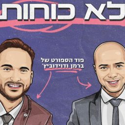 Artwork for לא כוחות - ברמן ודוידוביץ’