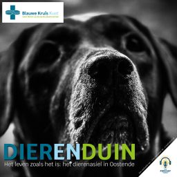Artwork for Dierenduin