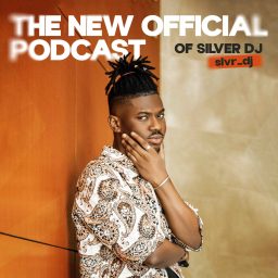 Artwork for SILVER DJ (slvr_dj)