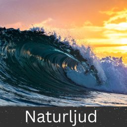 Artwork for Naturljud (Nature Sounds)
