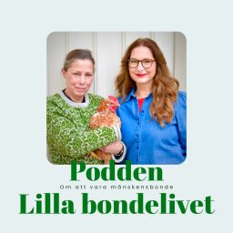 Artwork for Podden Lilla bondelivet