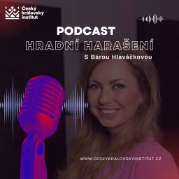 Artwork for Hradní harašení