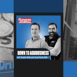 Artwork for Down to Agribusiness