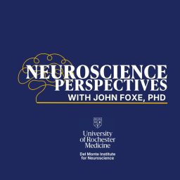 Artwork for Neuroscience Perspectives