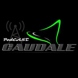 Artwork for Le podcast Caudale