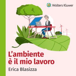 Artwork for L'ambiente è il mio lavoro