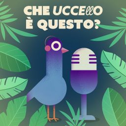Artwork for Che uccello è questo?