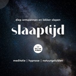 Artwork for Slaaptijd