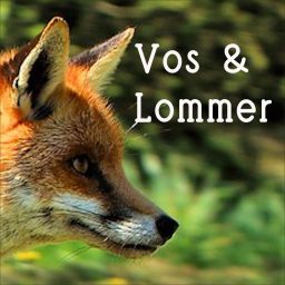 Artwork for Vos en Lommer