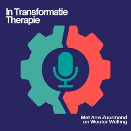 Artwork for In Transformatie Therapie