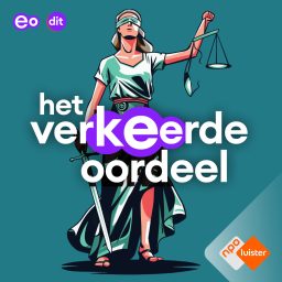 Artwork for Het Verkeerde Oordeel
