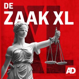 Artwork for De Zaak XL