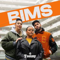 Artwork for BIMS