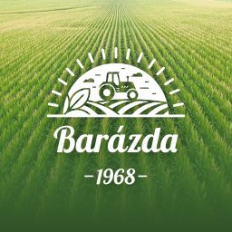 Artwork for Barázda