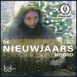 Artwork for De Nieuwjaarsmoord