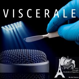 Artwork for Viscerale