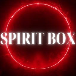 Artwork for Spirit Box