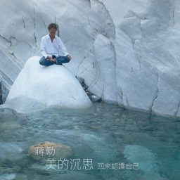 Artwork for 蔣勳_美的沉思 回來認識自己