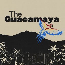Artwork for The Guacamaya