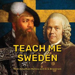 Artwork for Teach Me Sweden
