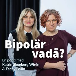 Artwork for Bipolär vadå?
