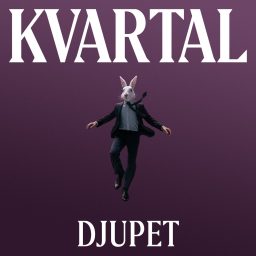 Artwork for Djupet