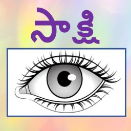 Artwork for Sakshi