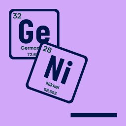 Artwork for Genistreg