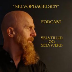 Artwork for Selvopdagelsen