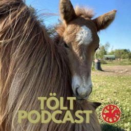 Artwork for Tölt Podcast