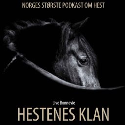 Artwork for HESTENES KLAN