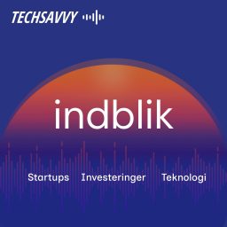 Artwork for TechSavvy Indblik
