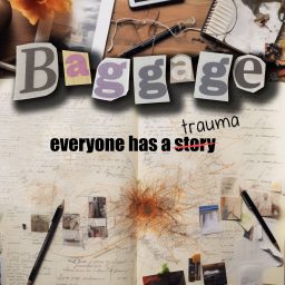 Artwork for Baggage