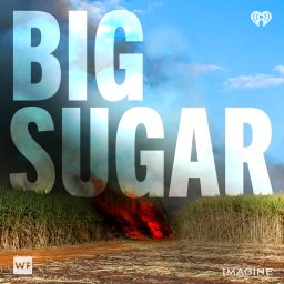Artwork for Big Sugar