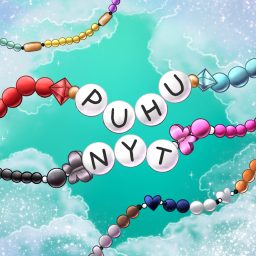 Artwork for Puhu Nyt