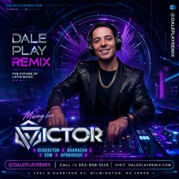 Artwork for Dale Play Remix