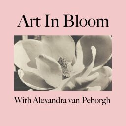 Artwork for Art in Bloom